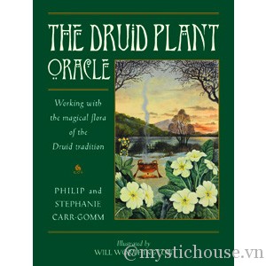 Druid Plant Oracle featured