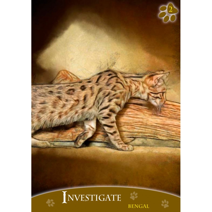 Cats Inspirational Oracle Cards 1