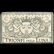 333 Tarot Trionfi della Luna (English Edition) 1