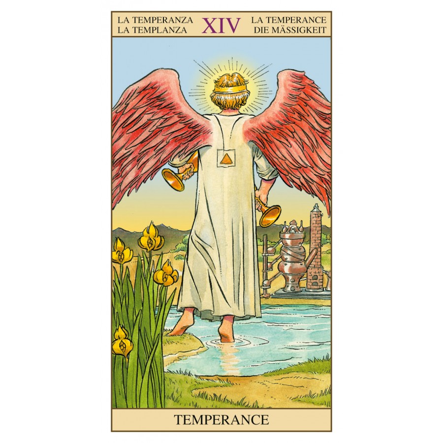 Tarot of the New Vision 9