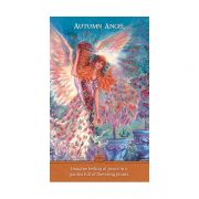 inspirational-wisdom-from-angels-fairies-3
