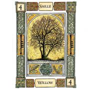 Celtic-Tree-Oracle-A-System-of-Divination-5