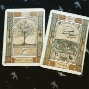 Celtic-Tree-Oracle-A-System-of-Divination-6-600×600
