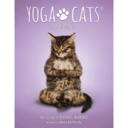 Yoga-Cats-Oracle