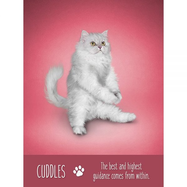 Yoga-Cats-Oracle-3-600×600