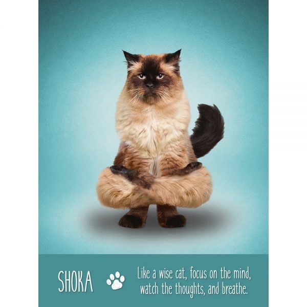 Yoga-Cats-Oracle-5-600×600
