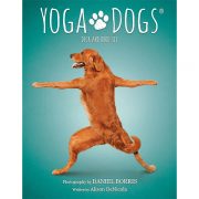 Yoga-Dogs-Oracle-1