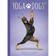 Yoga-Dogs-Oracle-2-600×600