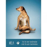 Yoga-Dogs-Oracle-6-600×600