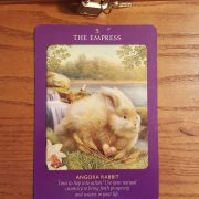 Animal Tarot Cards 7