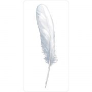 Divine-Feather-Messenger-3