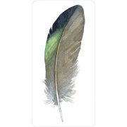Divine-Feather-Messenger-9