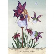 Fairy-Wisdom-Oracle-6