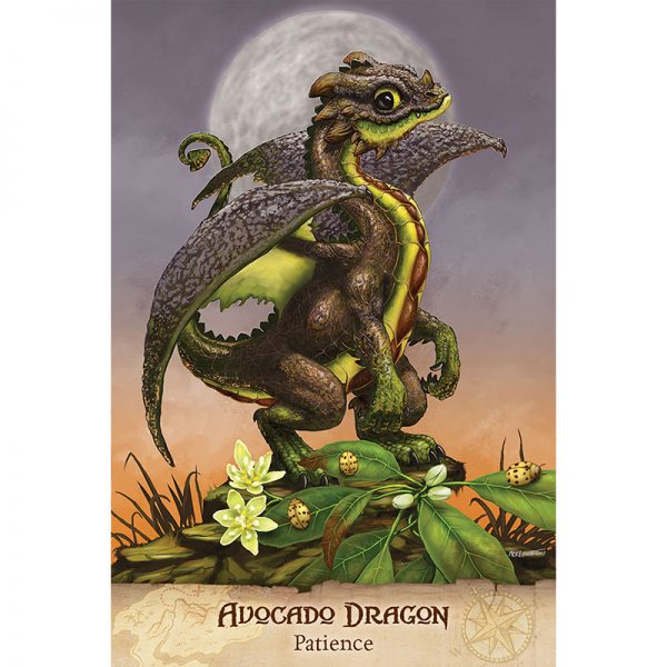 Field-Guide-To-Garden-Dragons-3