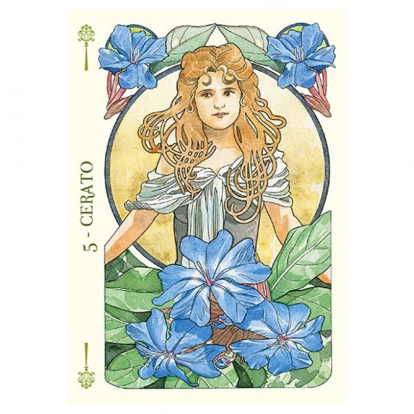 Flower-Oracle-3