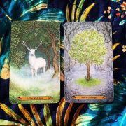 Forest-of-Enchantment-Tarot-8