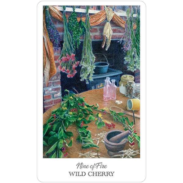 Herbcrafters-Tarot-8