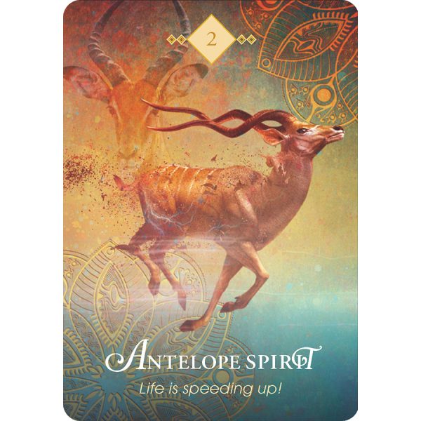 Spirit-Animal-Oracle-19