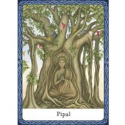 Wisdom-of-Trees-Oracle-6