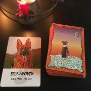 Divine-Dog-Wisdom-Cards-6