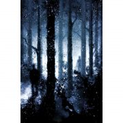 Lost-forest-tarot (21)