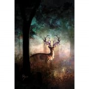 Lost-forest-tarot (8)