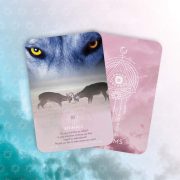 Dream-Reading-Cards-4