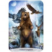 Sacred-Power-Reading-Cards-4