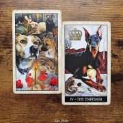 Wise-Dog-Tarot-14