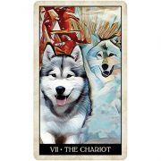 Wise-Dog-Tarot-4