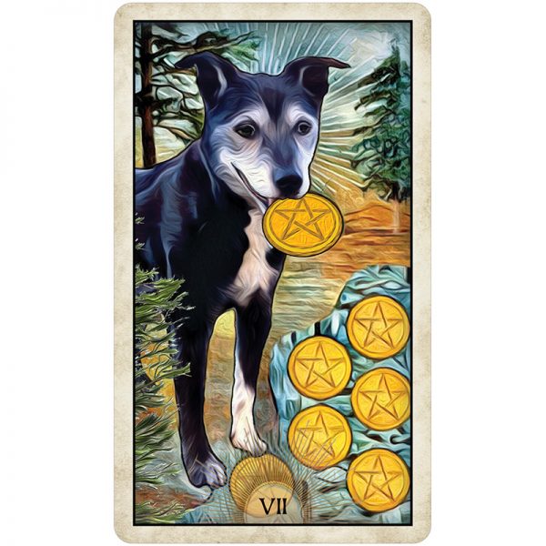 Wise-Dog-Tarot-8