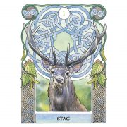 Celtic Astrology Oracle 4