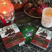 Seasons of the Witch Yule Oracle 16