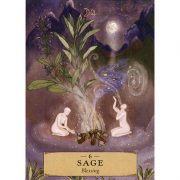 Herbal Astrology Oracle 11