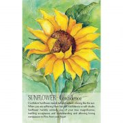 Soulflower Plant Spirit Oracle 6