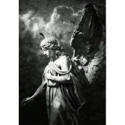 Gray-Angel-Oracle-10