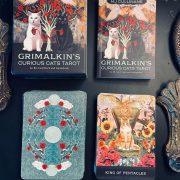 Grimalkin-s-Curious-Cats-Tarot-9