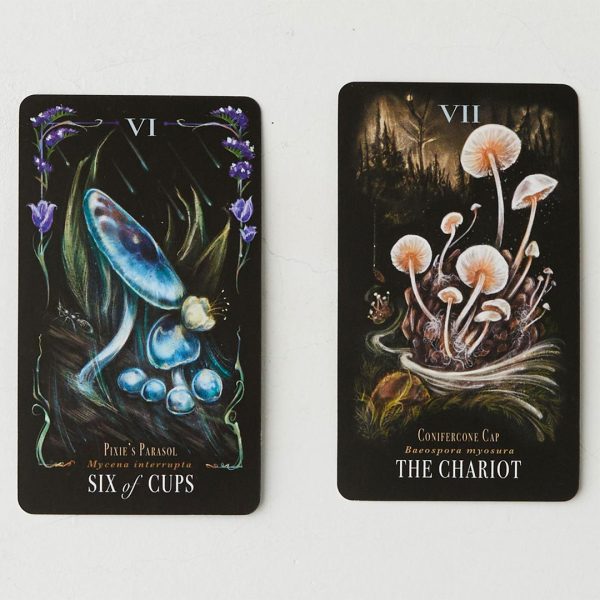 Midnight-Magic-Tarot-of-Mushrooms-13