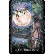 Solitary-Witch-Oracle-7
