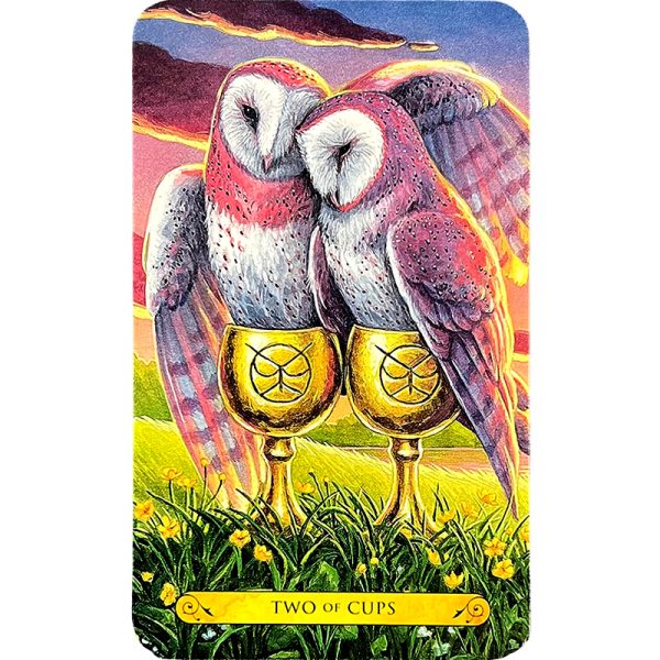 Tarot-of-the-Owls-4