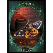 Witches-Familiars-Oracle-5