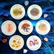 Tea-Leaf-Fortune-Cards-Phien-Ban-Sach-Tieng-Viet-7