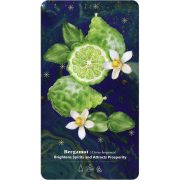 Essential-Oils-Healing-Deck-5