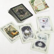 Green-Witchs-Oracle-Deck-8