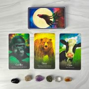 Wild-Dreams-Animal-Oracle-11