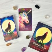 Wild-Dreams-Animal-Oracle-12