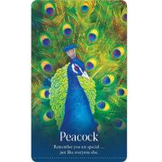 Wild-Dreams-Animal-Oracle-3