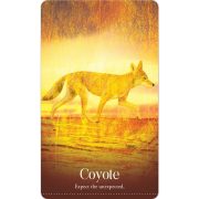 Wild-Dreams-Animal-Oracle-4