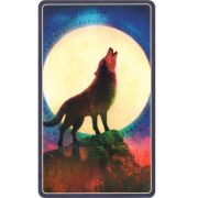 Wild-Dreams-Animal-Oracle-9