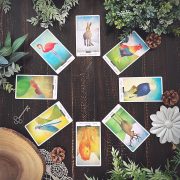 Familiar-Field-Oracle-12